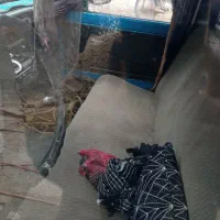 نیسان وانت مدل 89|خودرو سواری و وانت|گلوگاه, |دیوار