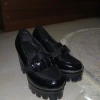 کیف کفش پافر