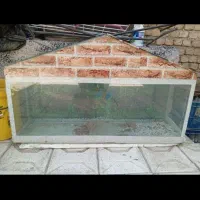 آگواریوم کلبه ای