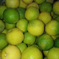 لیمو ترش تازه آبدار خانگی