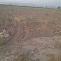 زمین-کشاورزی