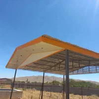 شیروانی وسوله ورابیتس