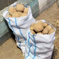 سیب زمینی درجه یک