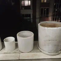 گلدان چینی|گل و گیاه طبیعی|تهران, دولاب|دیوار