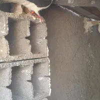 کفتر|پرنده|گلبهار, شهر جدید گلبهار|دیوار