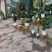 گل هدیه روز مادر