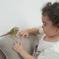 پرستاری ومربیگری کودک و بزرگسال