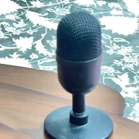 میکروفون رایزن