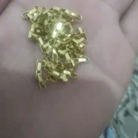 زنجیر طلا