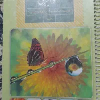 علوم تجربی هشتم