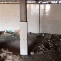 استاد کار سنگ وسرامیک|خدمات پیشه و مهارت|ایذه, |دیوار