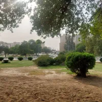 لطفا در مورد این روزا راهنماییم نمایید