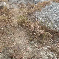 زمین مسکونی آسیاببرجی