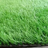 چمن مصنوعی نو دست دوم|خدمات باغبانی و درختکاری|تهران, تهرانپارس شرقی|دیوار