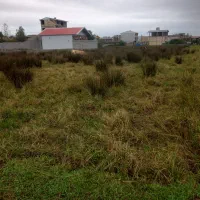 زمین فروشی وماوضه زمین باماشین وآپارتمان|پیشفروش املاک|تالش, هشتپر|دیوار