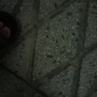 هوندا ۱۲۵ لا زرورقی