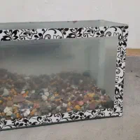 آکواریوم و کلا گیس