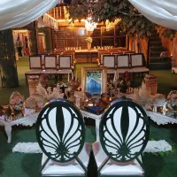 افر ویژه تالار فقط برای فردا به علت کنسلی|خدمات پذیرایی، مراسم|فردیس, شهرک ناز|دیوار