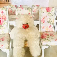 عروسک خرسی بزرگ