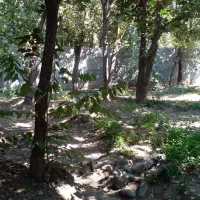 ۱۷۰۵ متر باغ - خدابخش|فروش زمین و ملک کلنگی|تهران, کن|دیوار