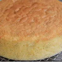 اسفنج آماده کیک