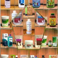 غذا مکمل لوازم راهب مینا مرغ عشق عروس طوطی کوتوله