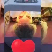 به بک فشیال کار حرفه ایی نیازمند فوری|خدمات آرایشگری و زیبایی|قرچک, میرزائی شمالی|دیوار
