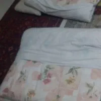 دوتا تشک تمیز