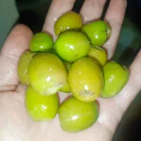 زیتون بی هسته