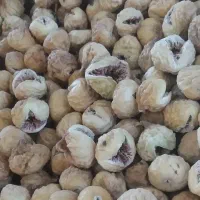 انجیر صدیک‌ و پرک درجه یک|عمده‌فروشی|شیراز, انجیر|دیوار