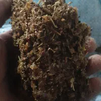 فروش ویژه کشمش افتابی تاکستان|خوردنی و آشامیدنی|تاکستان, |دیوار