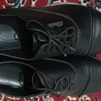 کفش نو|کیف، کفش، کمربند|کرمانشاه, |دیوار