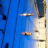 نصب وفروش ایزوگام شرق|خدمات پیشه و مهارت|هیرمند, |دیوار