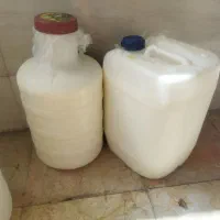 دوغ بز