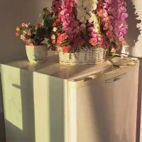 ۵۰۰ متر خونه باغ دو طبقه و نیم ۵۰۰ هزار