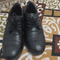 کفش مردانه نوه هست