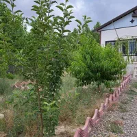 ویلا-نقلی-در-یوسف-اباد-خیرمسجد-نقد-اقساط