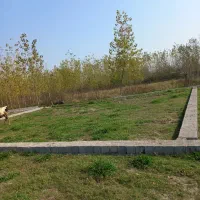 زمین باغی داخل بافت سر خیابان اصلی