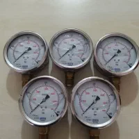 گیج فشار روغنی ویکا آلمانی،صفحه 10 سانتی