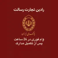 اعطای وام و تسهیلات|خدمات مالی، حسابداری، بیمه|فردیس, قریشی|دیوار