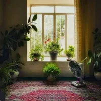 240متر-زمین-بر-ده-در-24-بانک-رهنی