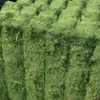 یونجه بسیار بسیار خوب