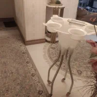 رینگ لایت
