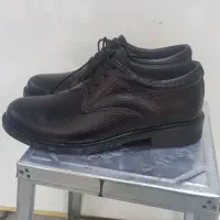 کفش چرم