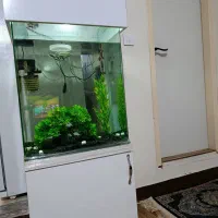 اکواریوم