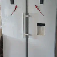 یخچال دو قلو اسنوا