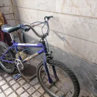جوجه سهره معاوضه