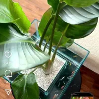 کارت خوان پیدا کردام