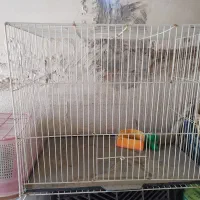 قفس پرنده