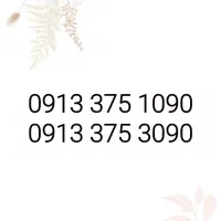 09133751090|سیم‌کارت|یزد, |دیوار